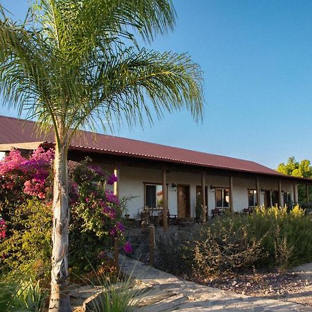 Terra Del Valle Bed & Breakfast Valle de Guadalupe Eksteriør bilde
