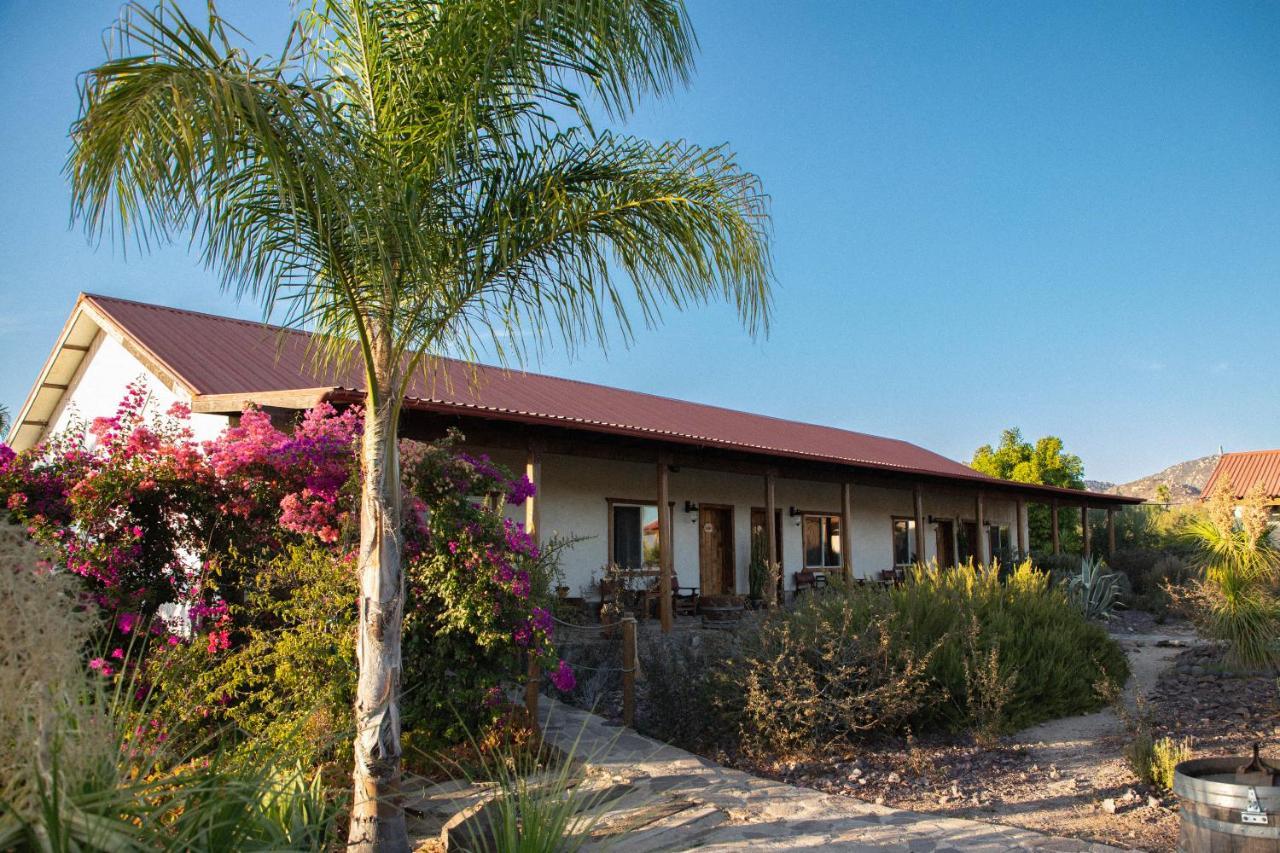 Terra Del Valle Bed & Breakfast Valle de Guadalupe Eksteriør bilde