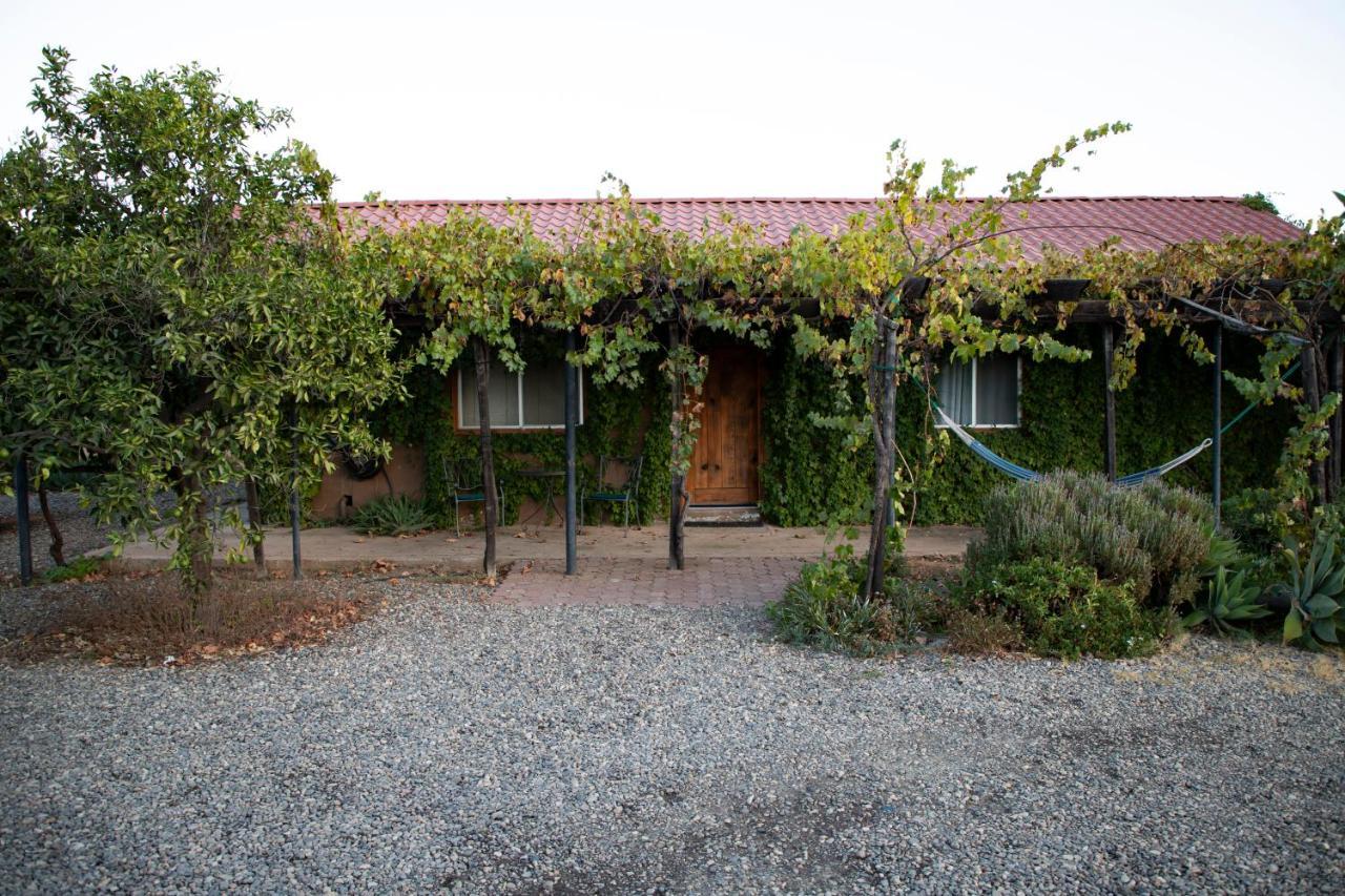 Terra Del Valle Bed & Breakfast Valle de Guadalupe Eksteriør bilde