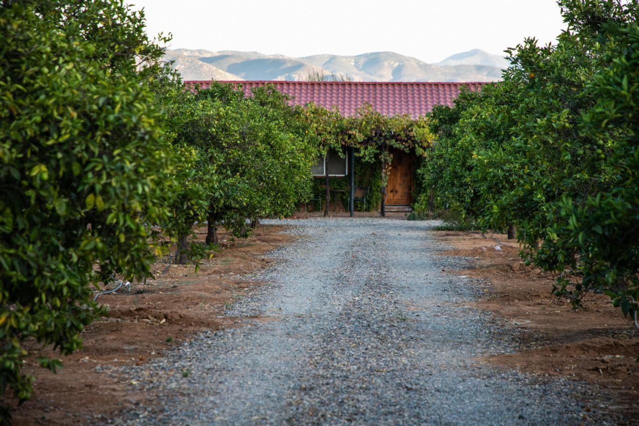Terra Del Valle Bed & Breakfast Valle de Guadalupe Eksteriør bilde