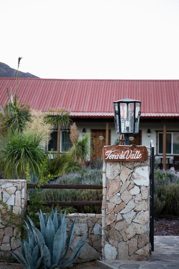 Terra Del Valle Bed & Breakfast Valle de Guadalupe Eksteriør bilde