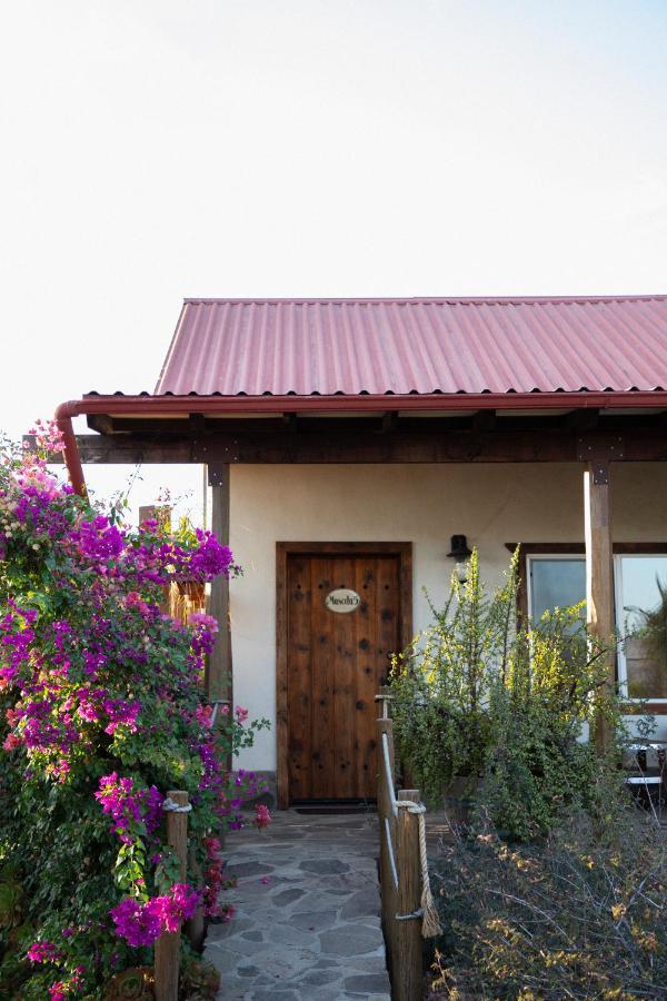 Terra Del Valle Bed & Breakfast Valle de Guadalupe Eksteriør bilde