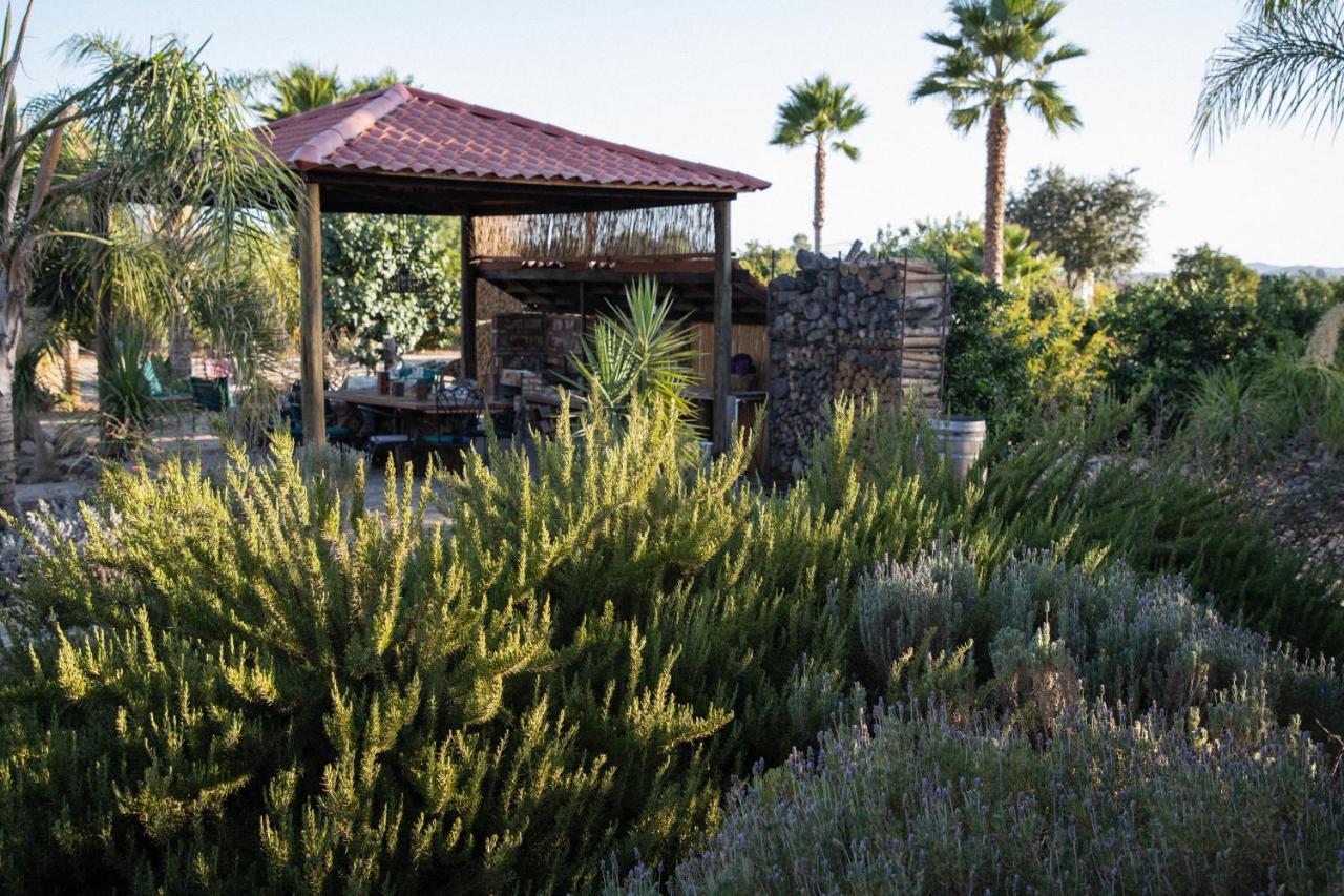 Terra Del Valle Bed & Breakfast Valle de Guadalupe Eksteriør bilde